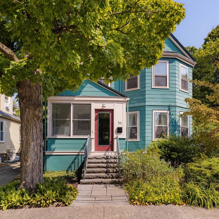 36 Wildwood Ave