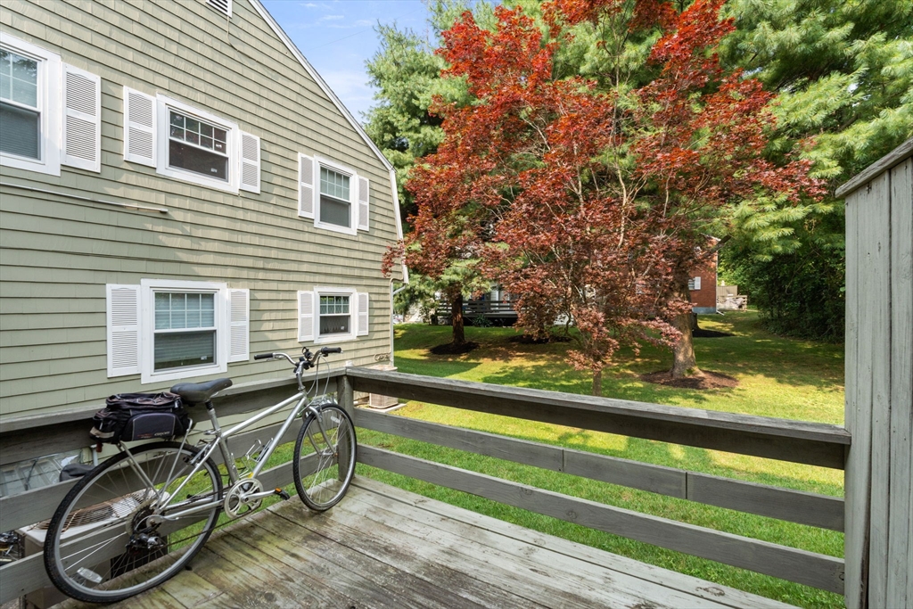 33 Saco Street # 33