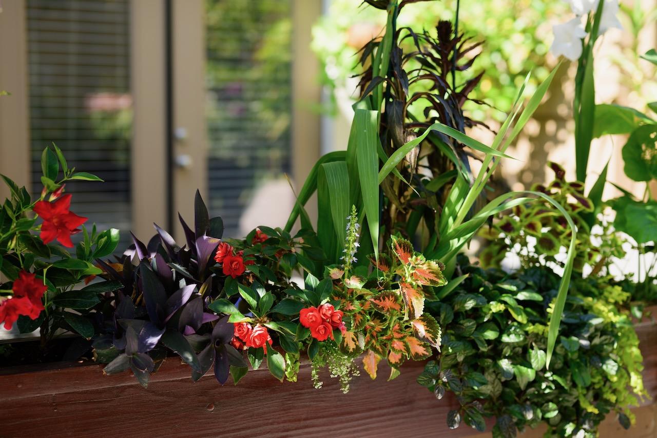 237 Bluebonnet LN 302