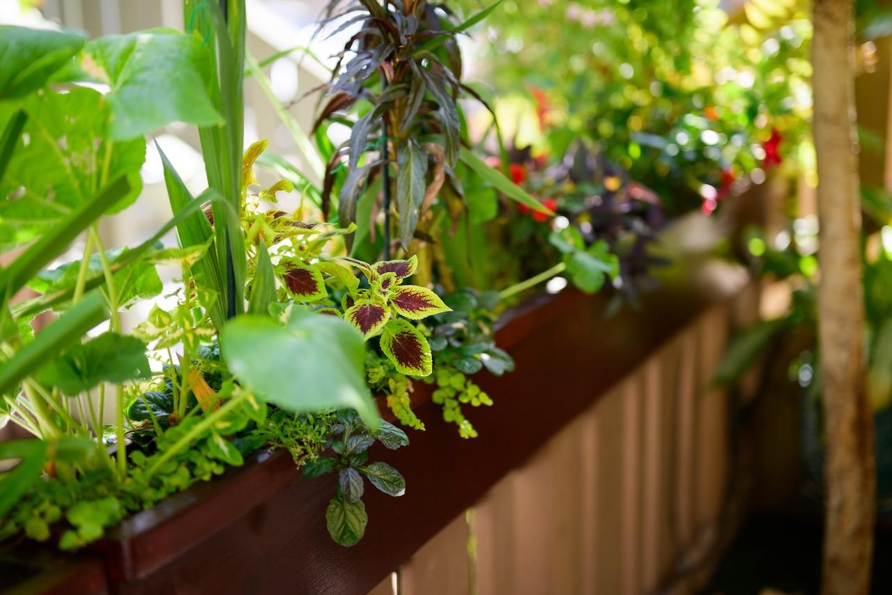 237 Bluebonnet LN 302