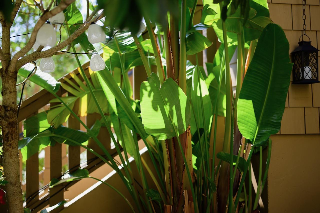 237 Bluebonnet LN 302