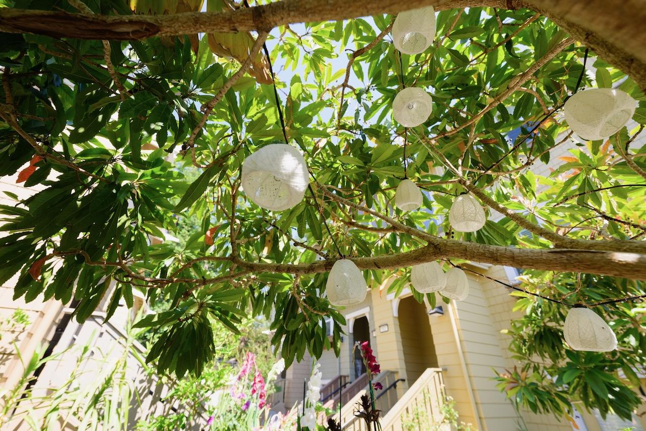 237 Bluebonnet LN 302