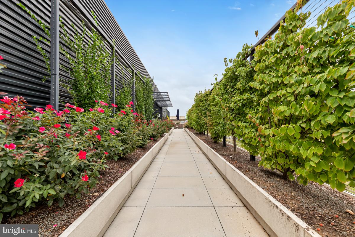 925 H STREET NW Unit: 709