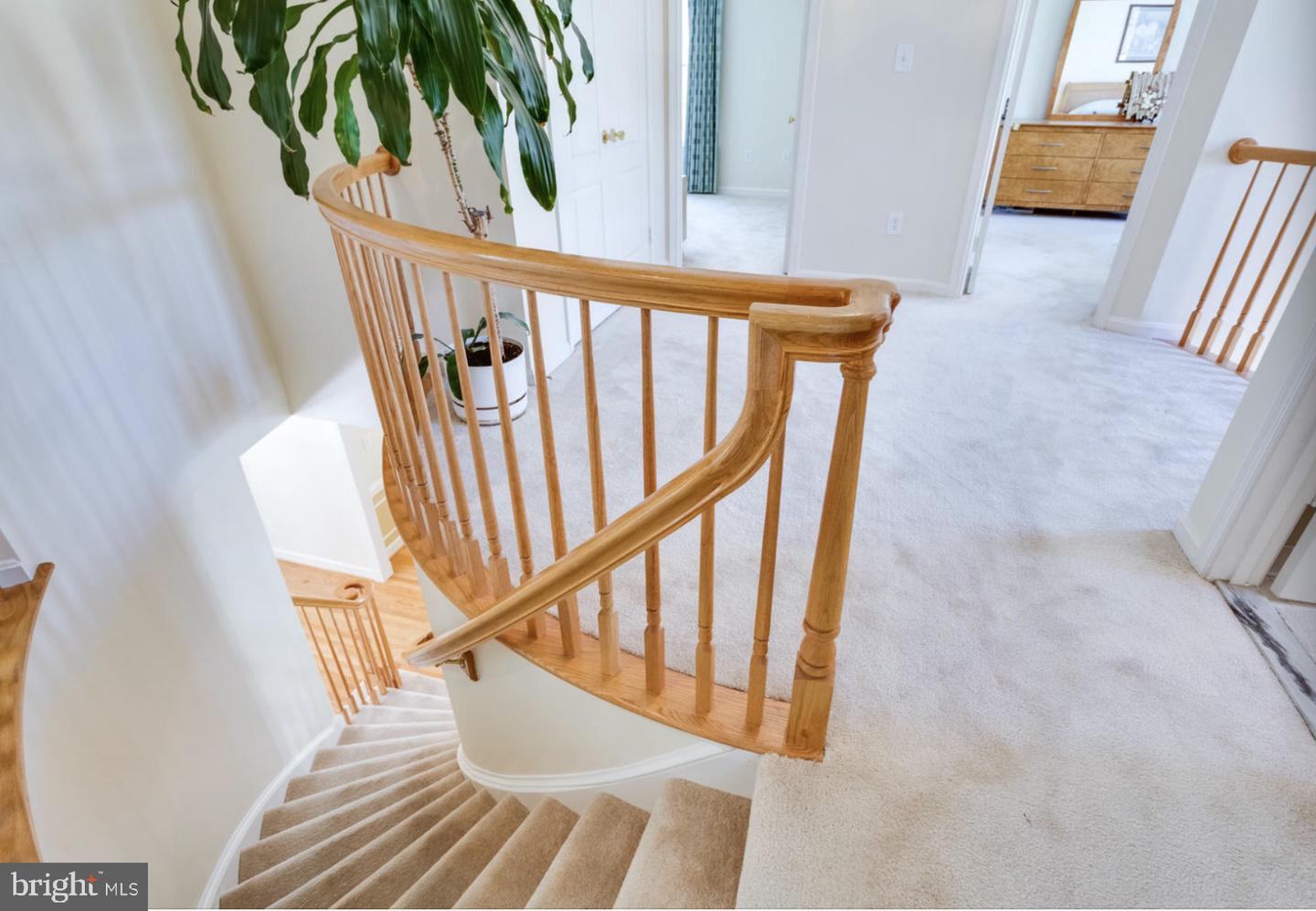 3009 WINDY KNOLL COURT