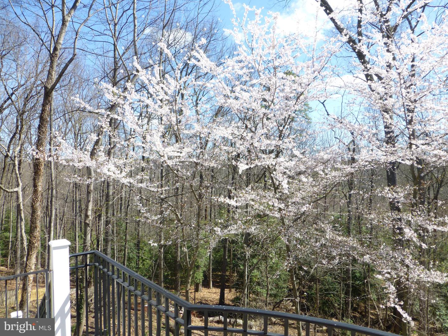 2007 SPRING BRANCH DRIVE