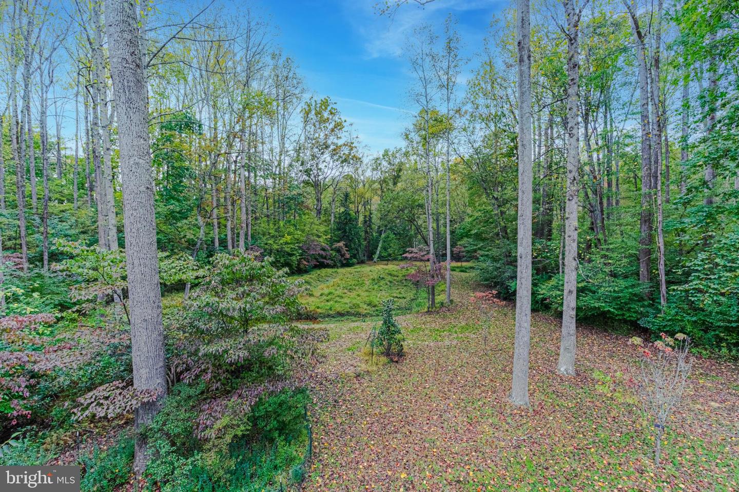 910 Peacock Station Rd