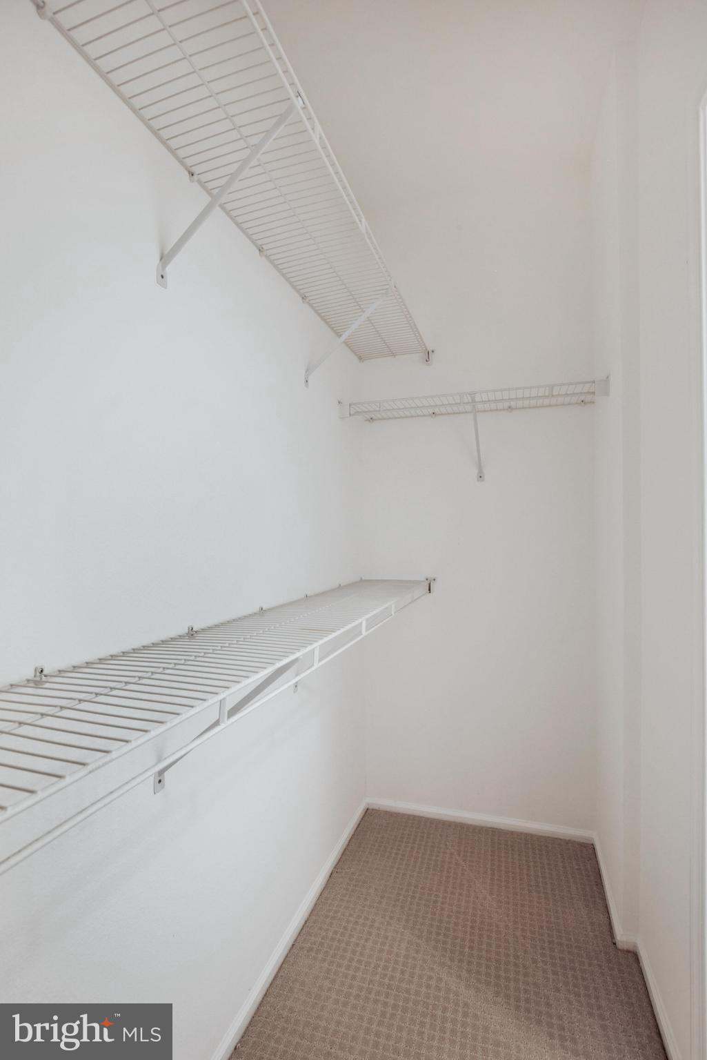 3003 Nicosh Cir #3208