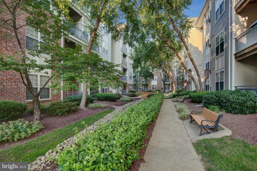 3003 Nicosh Cir #3208