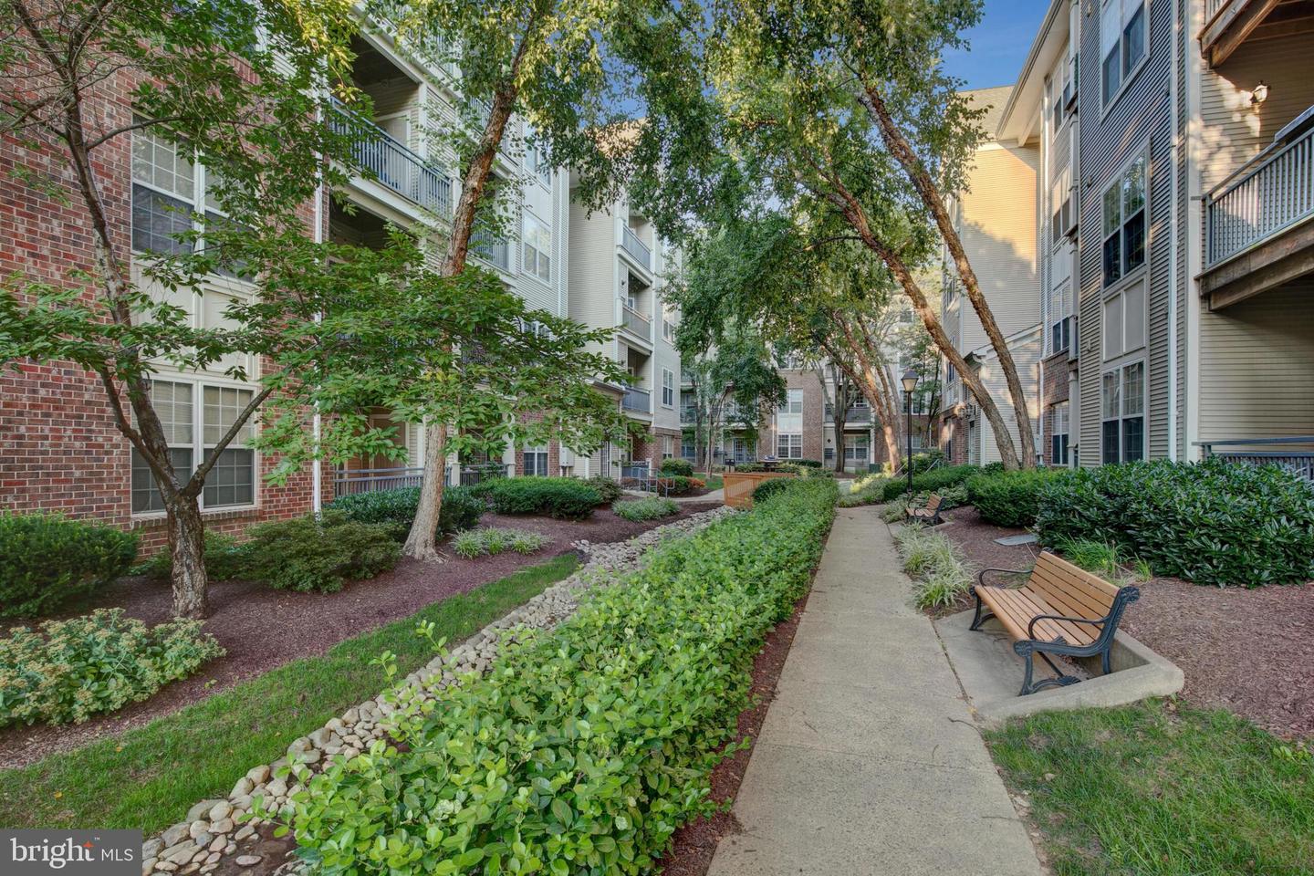 3003 Nicosh Cir #3208