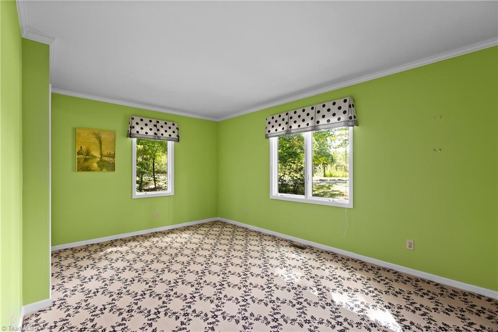 Empty green room with a dark floral-patterned floor and two windows with polka-dot valances.