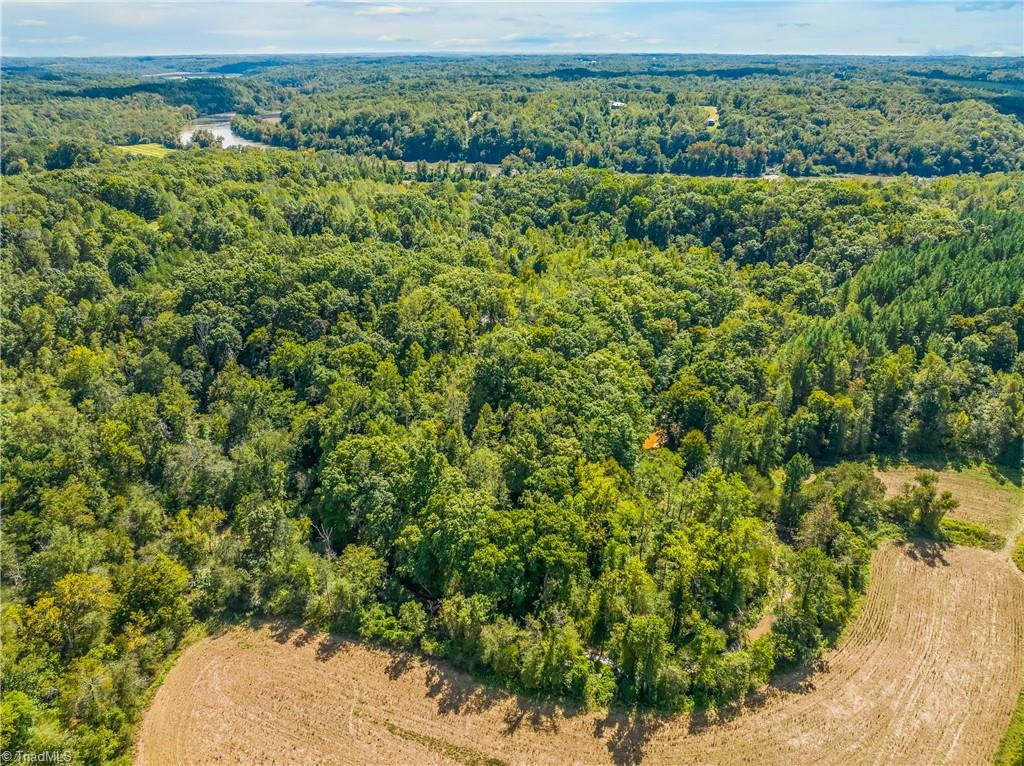 Aerial view of wooded land bordered by open fields, with rolling countryside on the horizon.