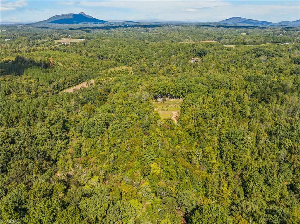 Aerial view of wooded property with a central clearing and distant mountain ridges.