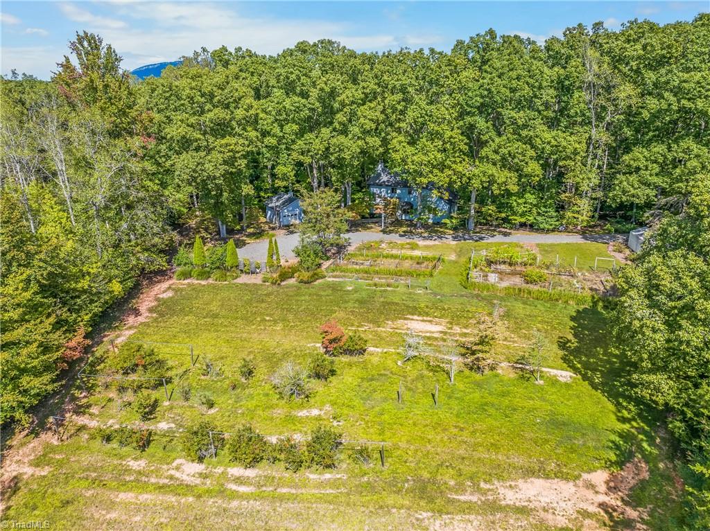 Aerial view of a wooded property with a grassy clearing, garden plots, and small outbuildings.