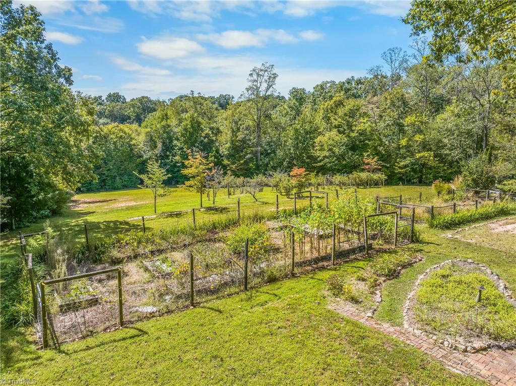 Fenced garden beds and young orchard in a grassy yard bordered by dense woods.