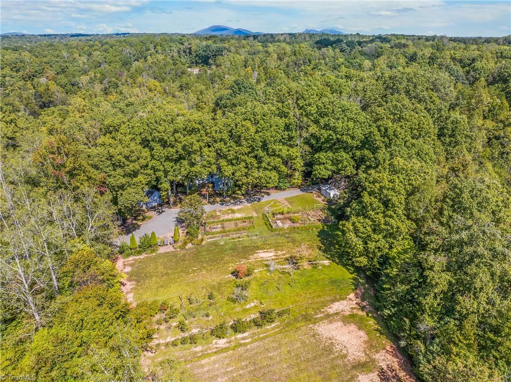Aerial view of a wooded property with a grassy clearing, garden plots, and distant blue mountains.