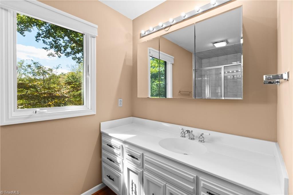 Bathroom vanity with white paneled cabinetry, a wide mirror, and a window overlooking leafy trees.