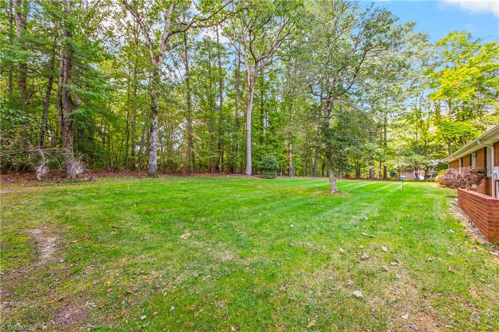 Grassy backyard bordered by mature trees, with part of the brick house visible at the right.