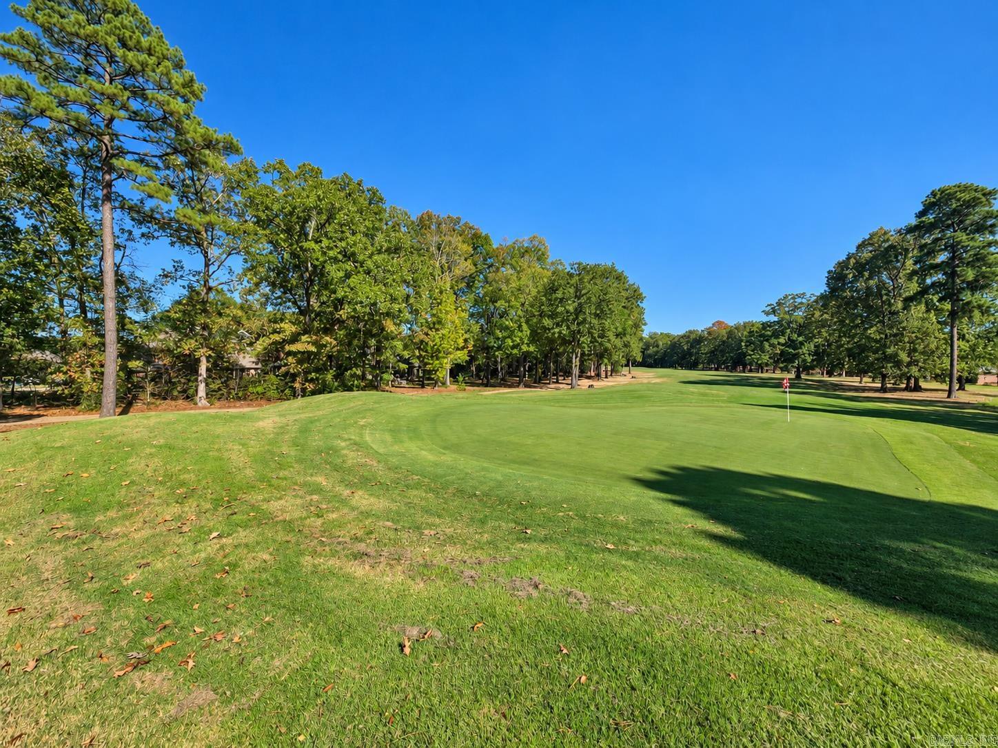 Golf course green with a flag and mature trees under a clear blue sky.