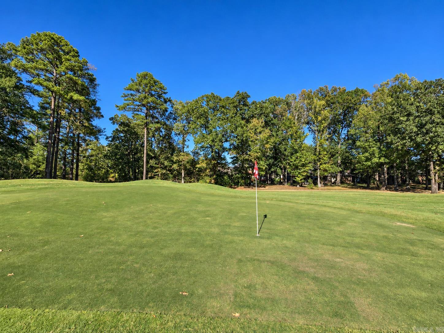 Golf course putting green with a flagstick and mature trees in the background.
