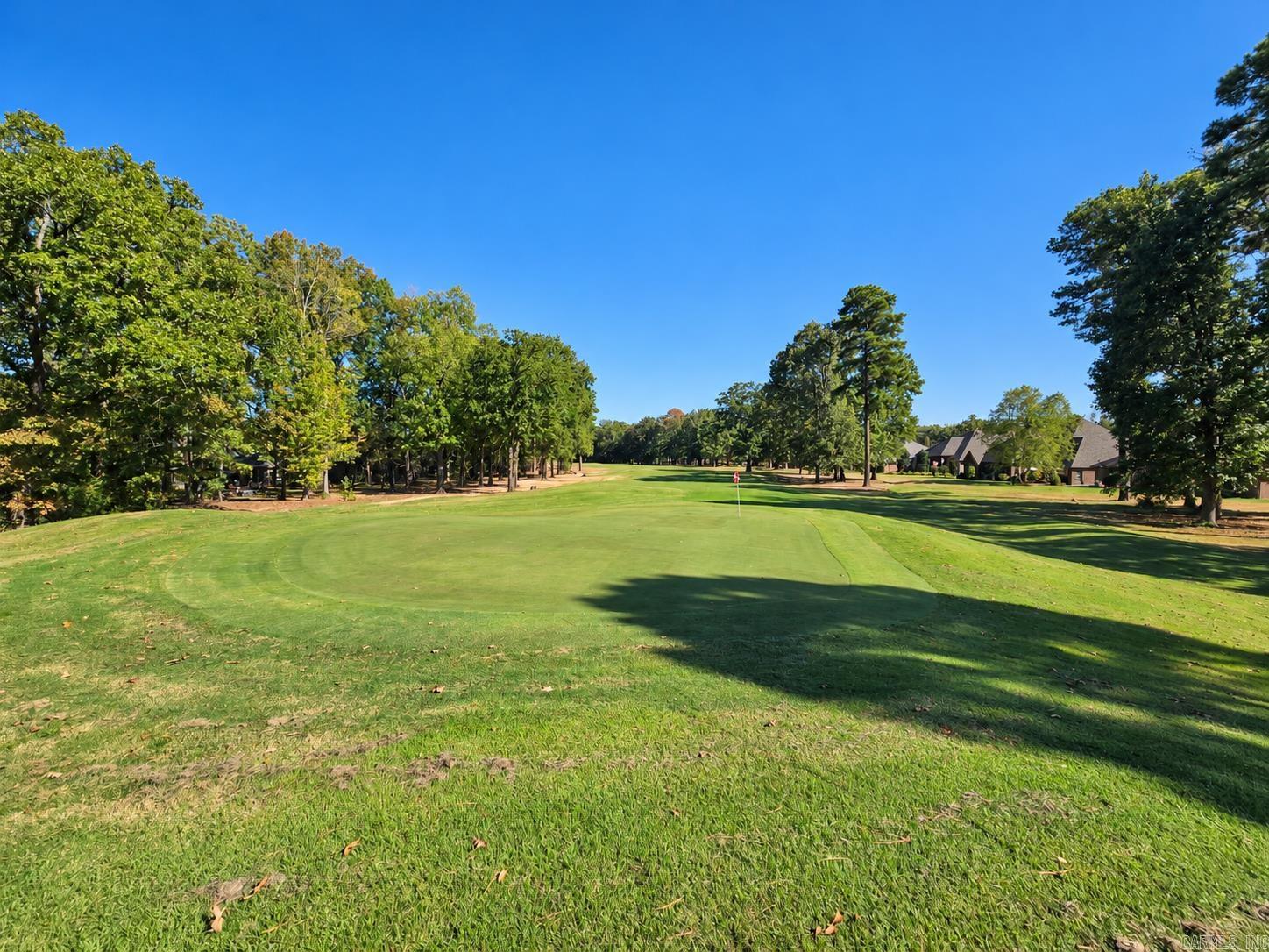 Golf course green with a flagstick, mature trees, and homes bordering the fairway.