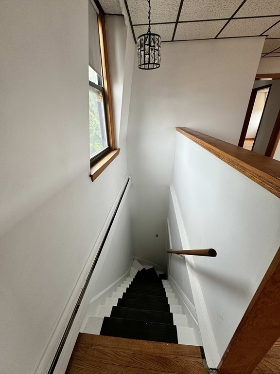 31 Corey Street # 3