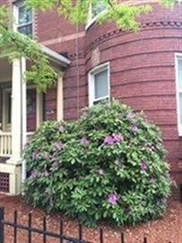 1253 Massachusetts Ave # 3