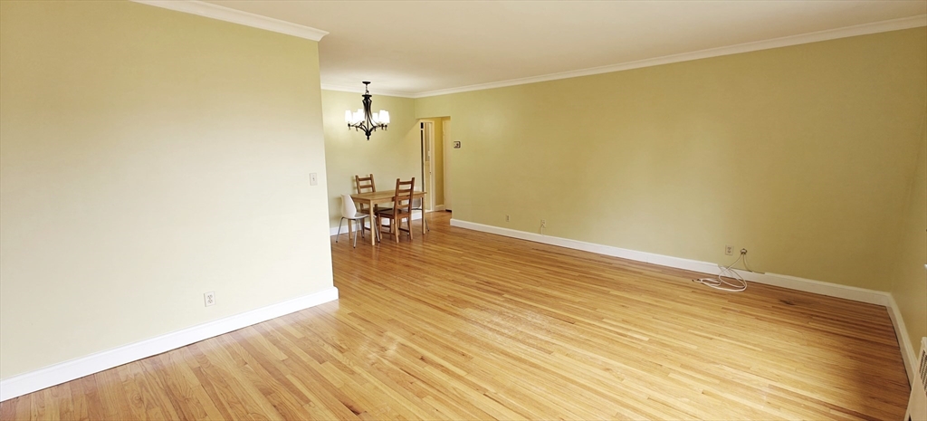 55 Harvard Avenue # 6