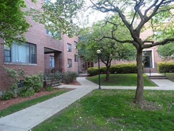 55 Harvard Avenue # 6