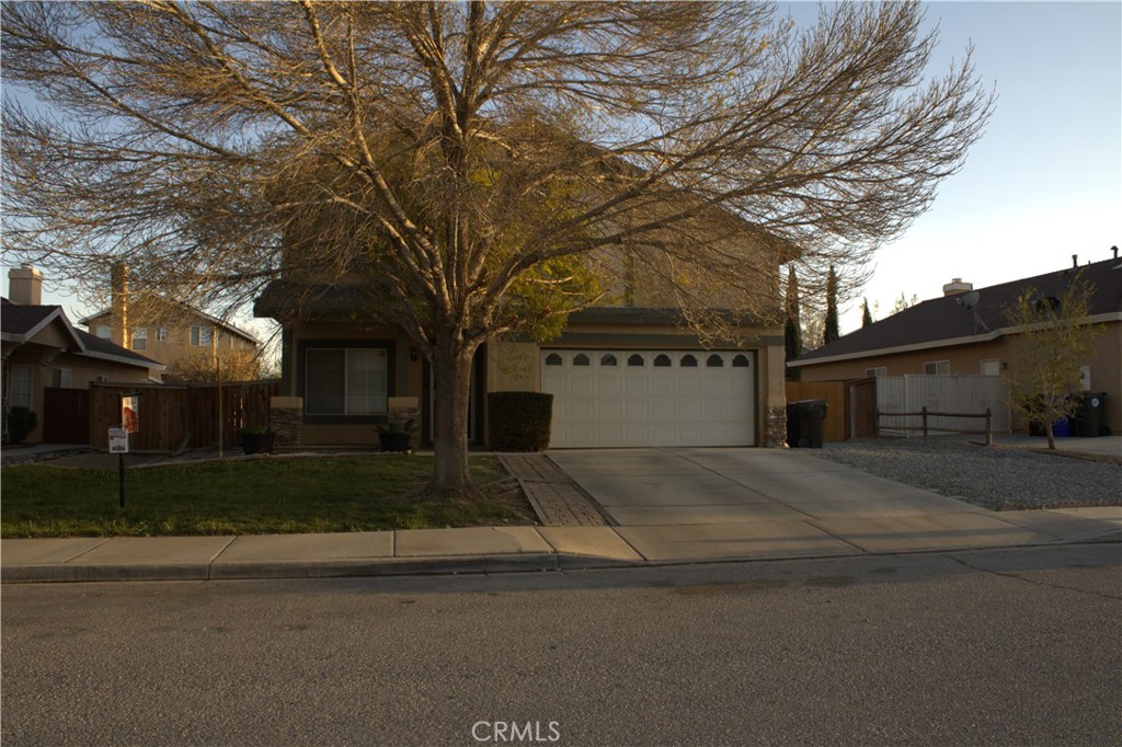 14771 Rockrose Street