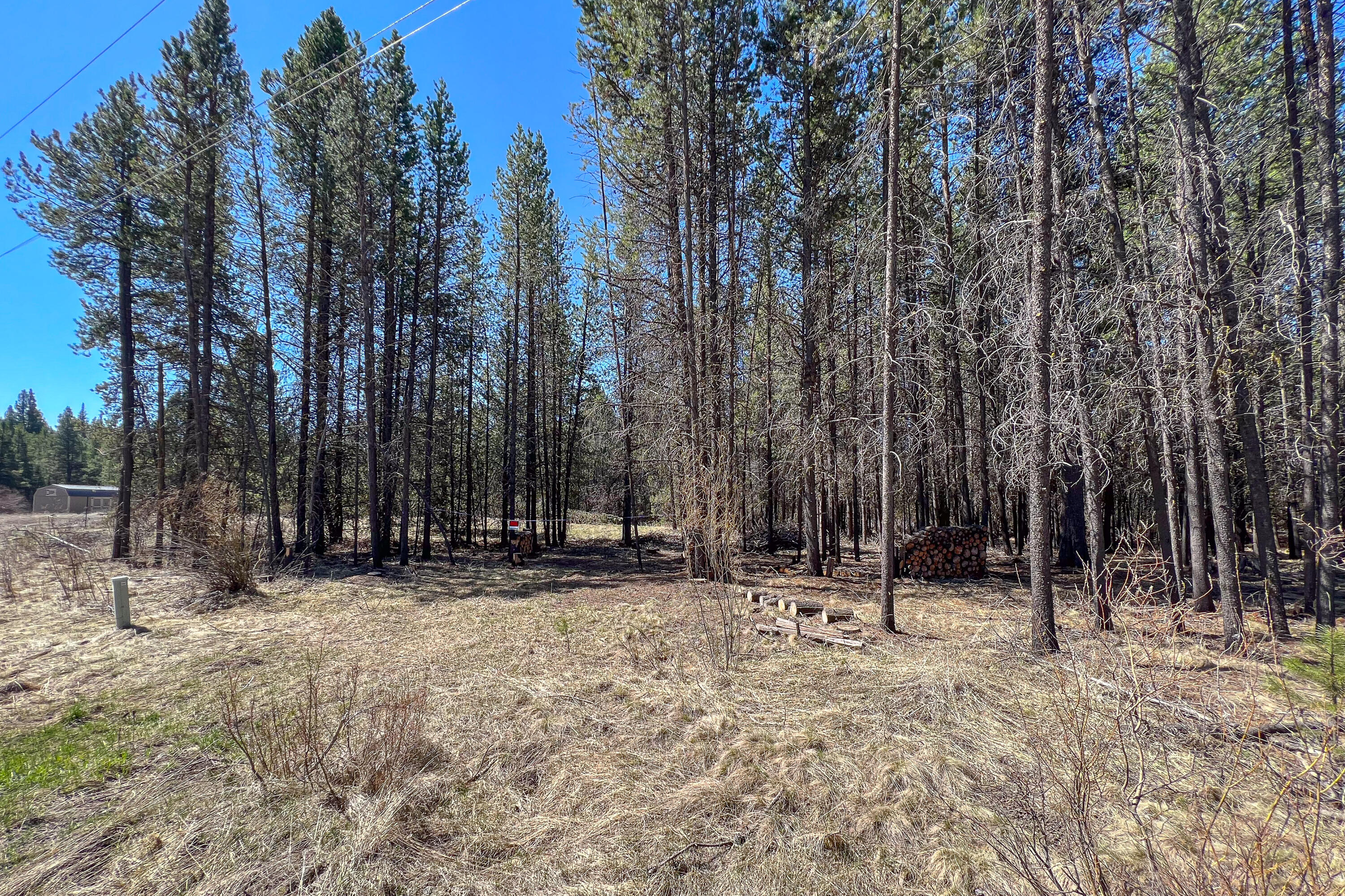 54431 Silver Fox Drive