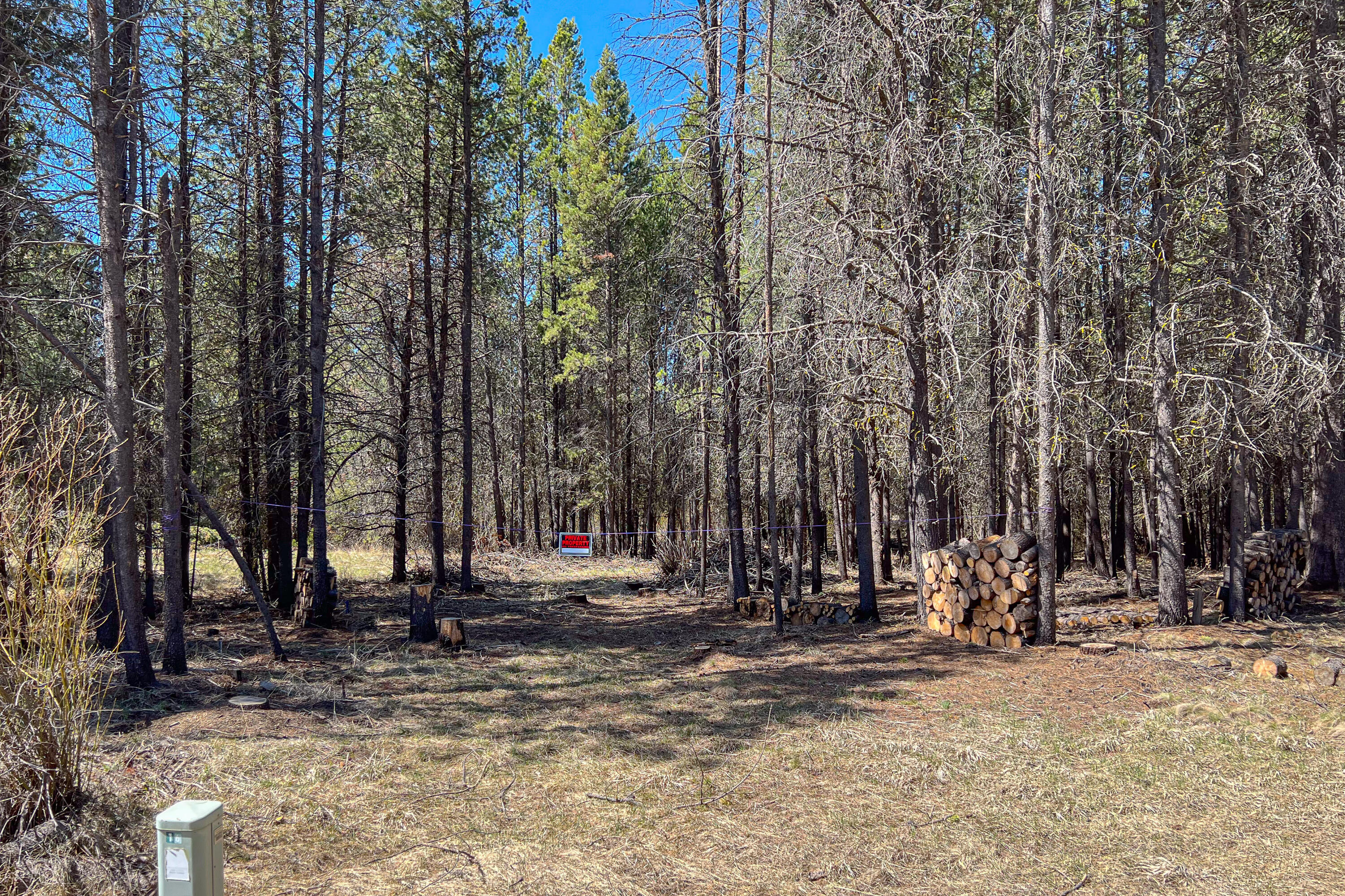 54431 Silver Fox Drive