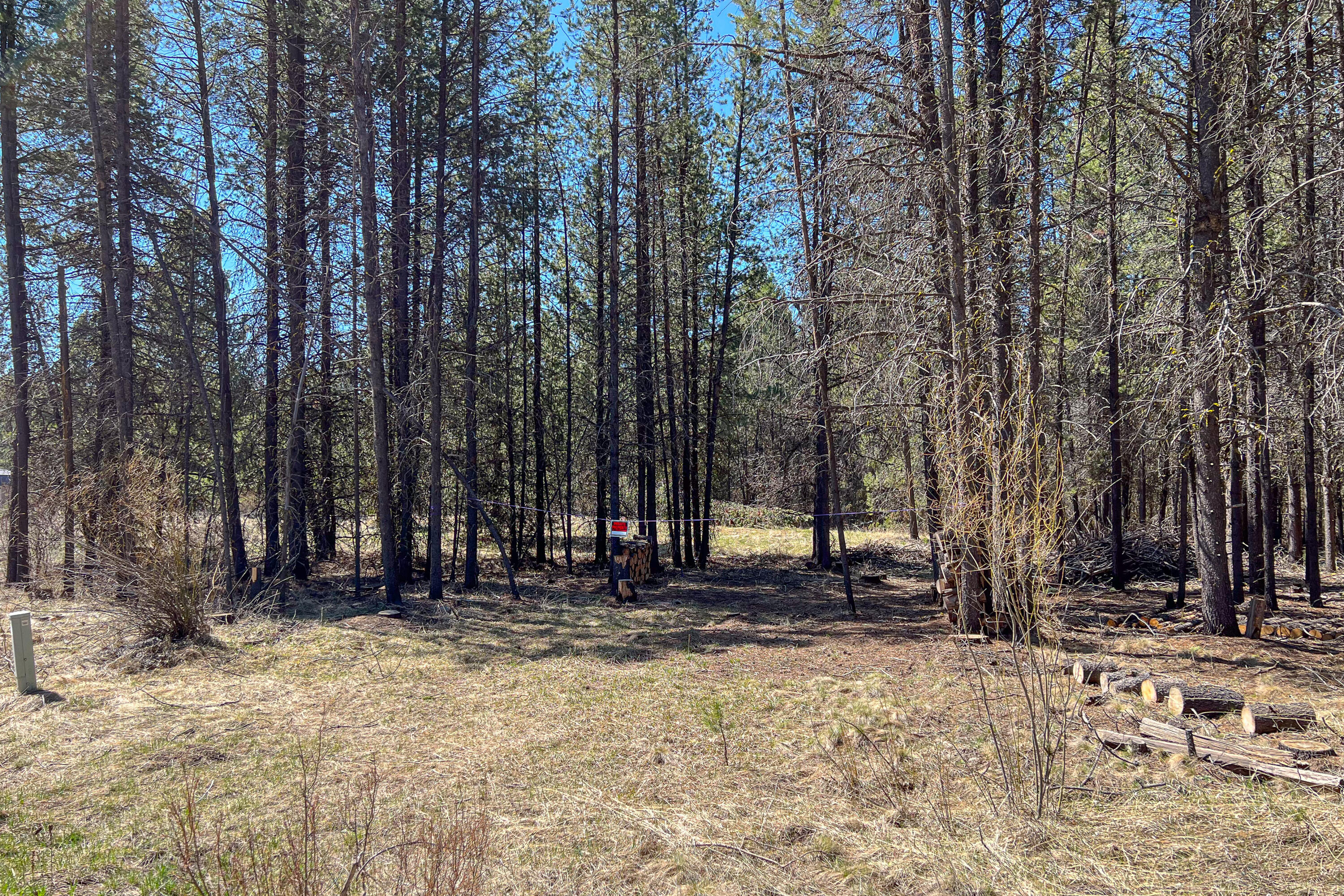 54431 Silver Fox Drive