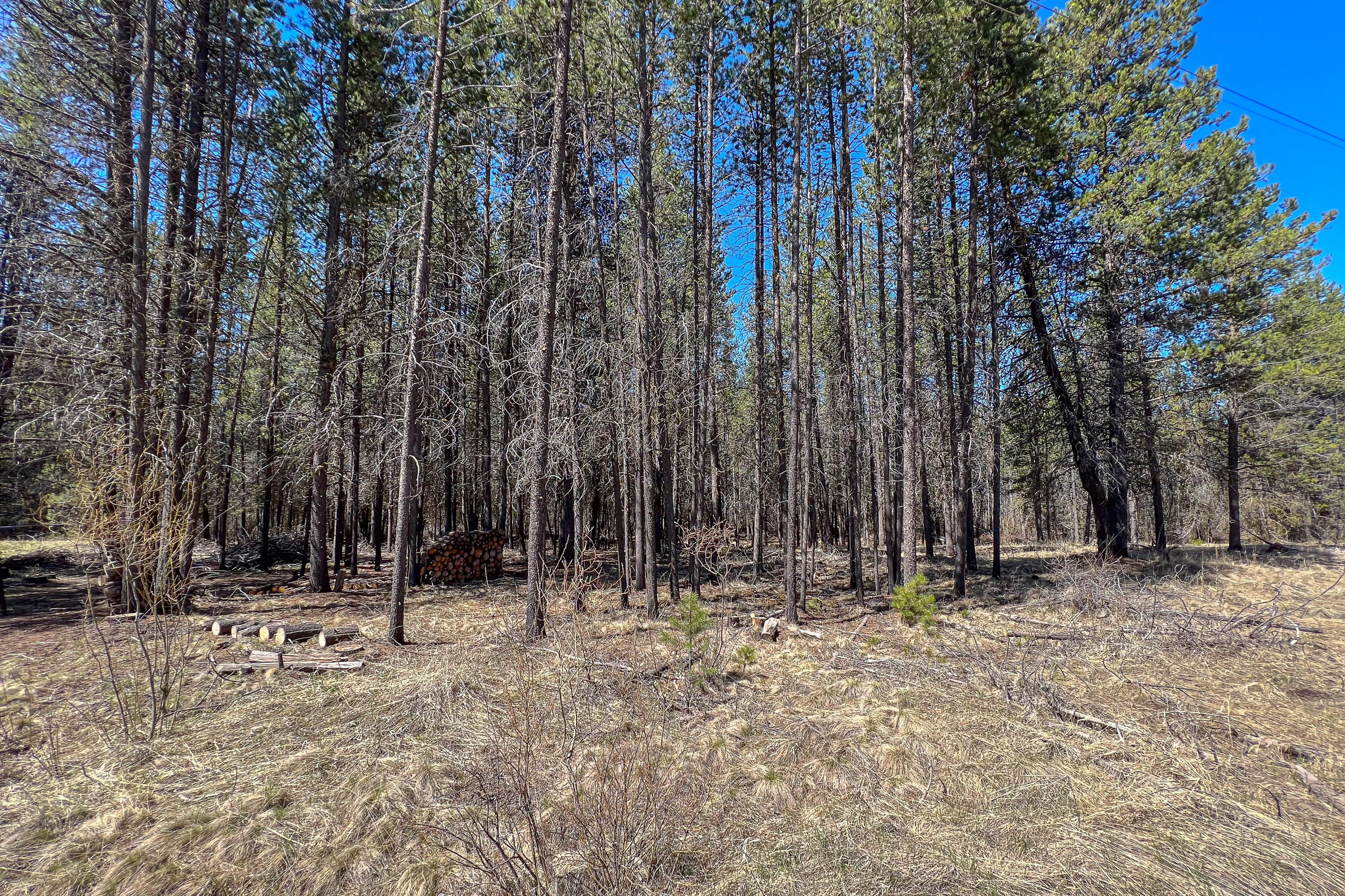 54431 Silver Fox Drive