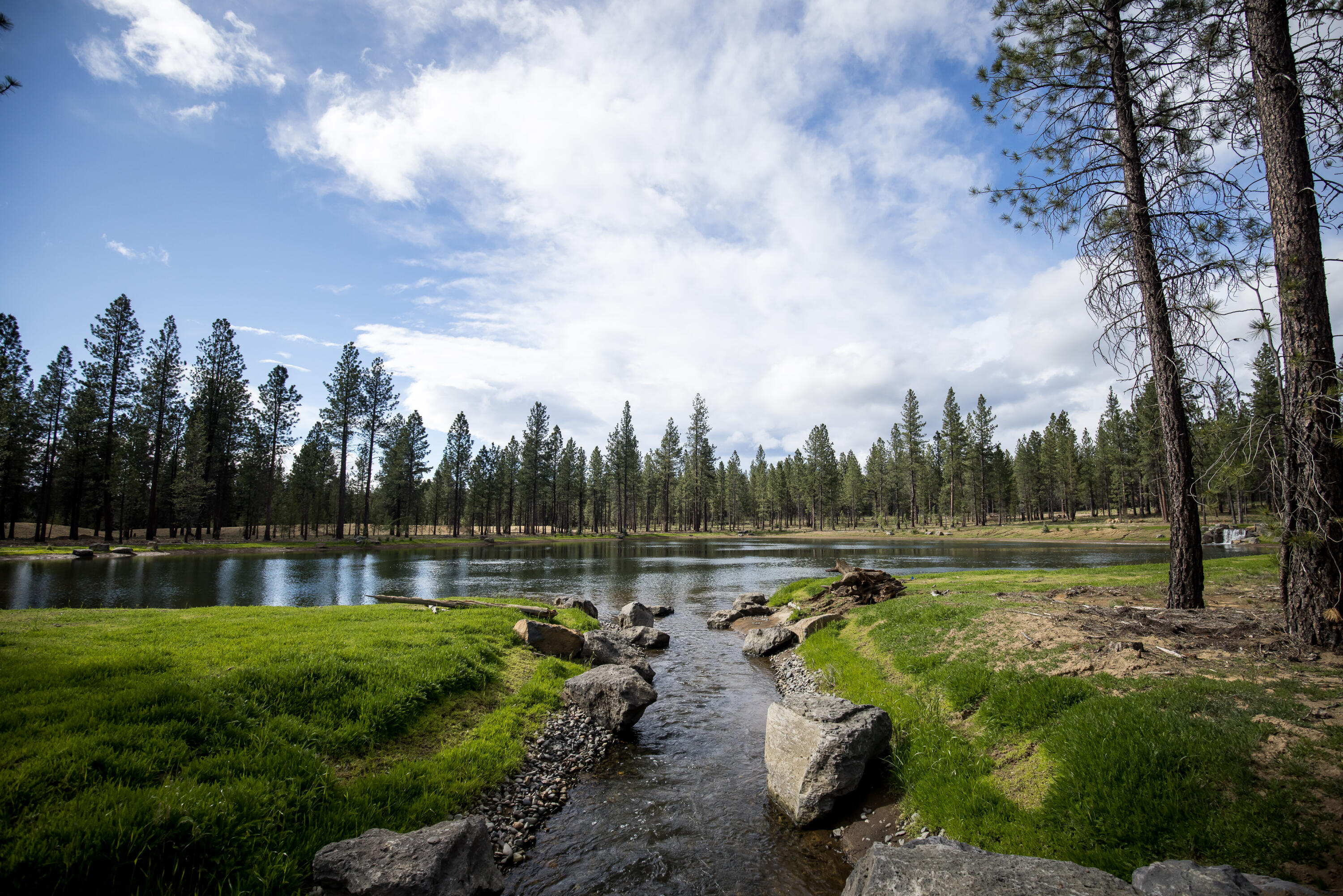 18163 Forestbrook Lp