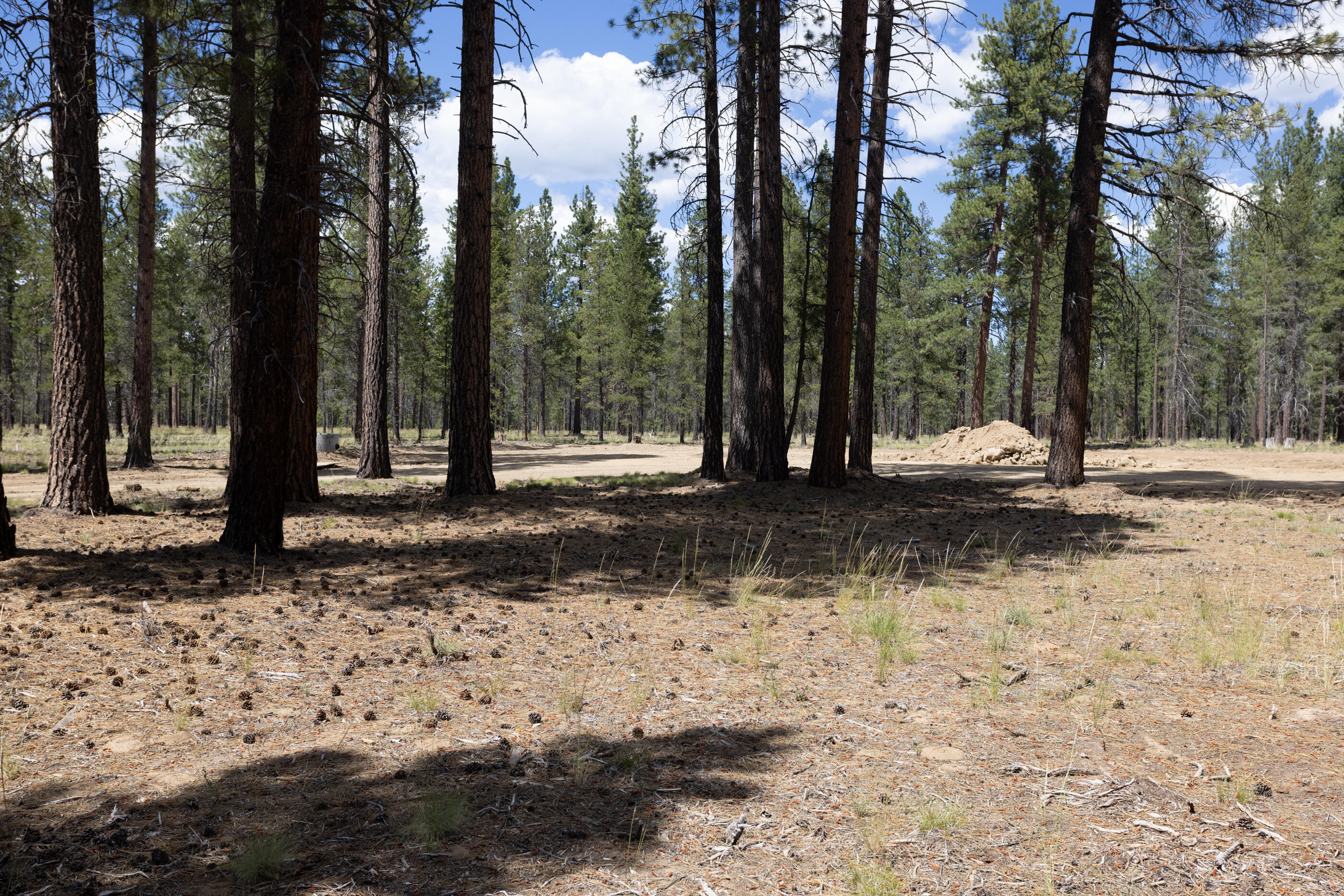 Preservation Loop