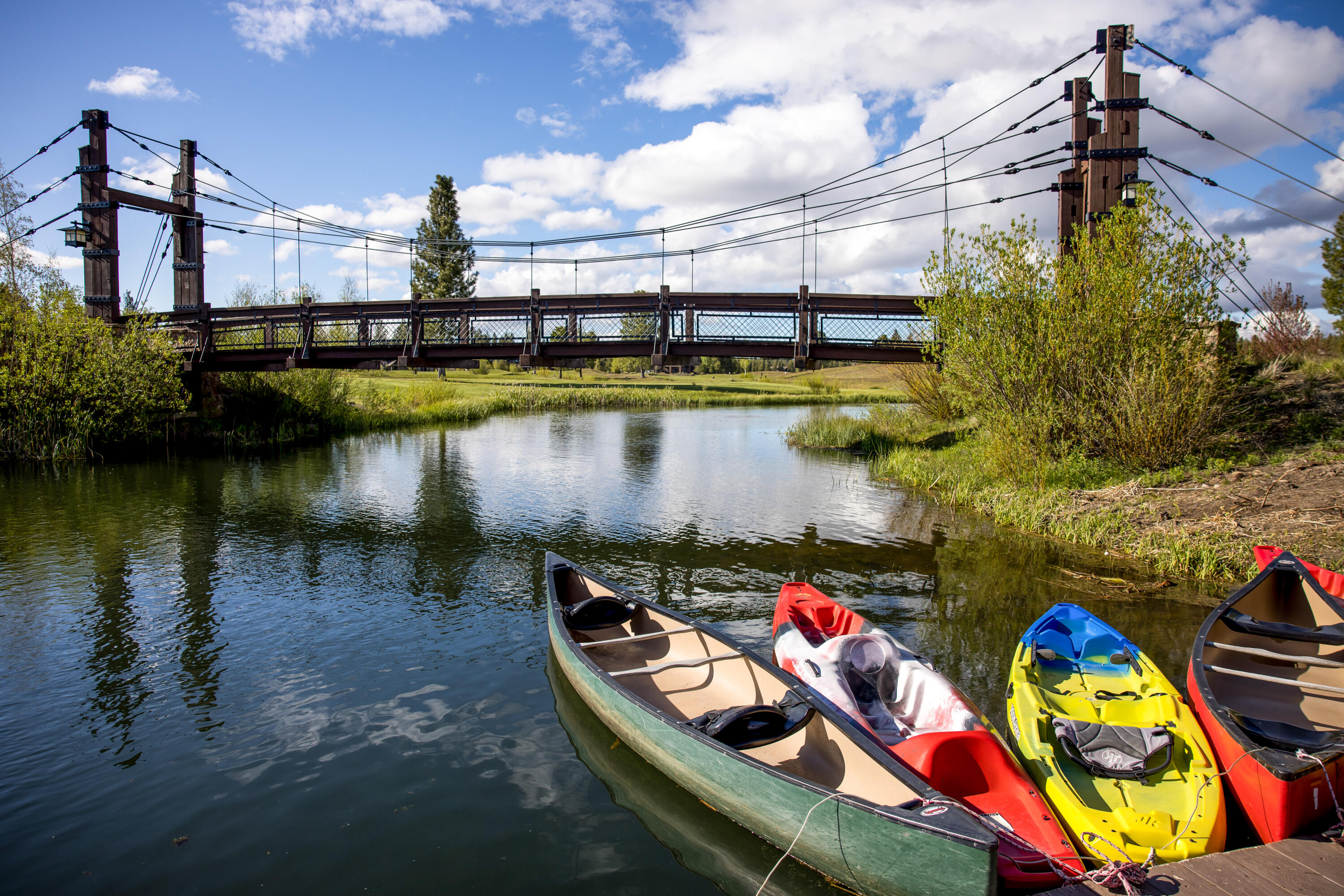 Preservation Loop