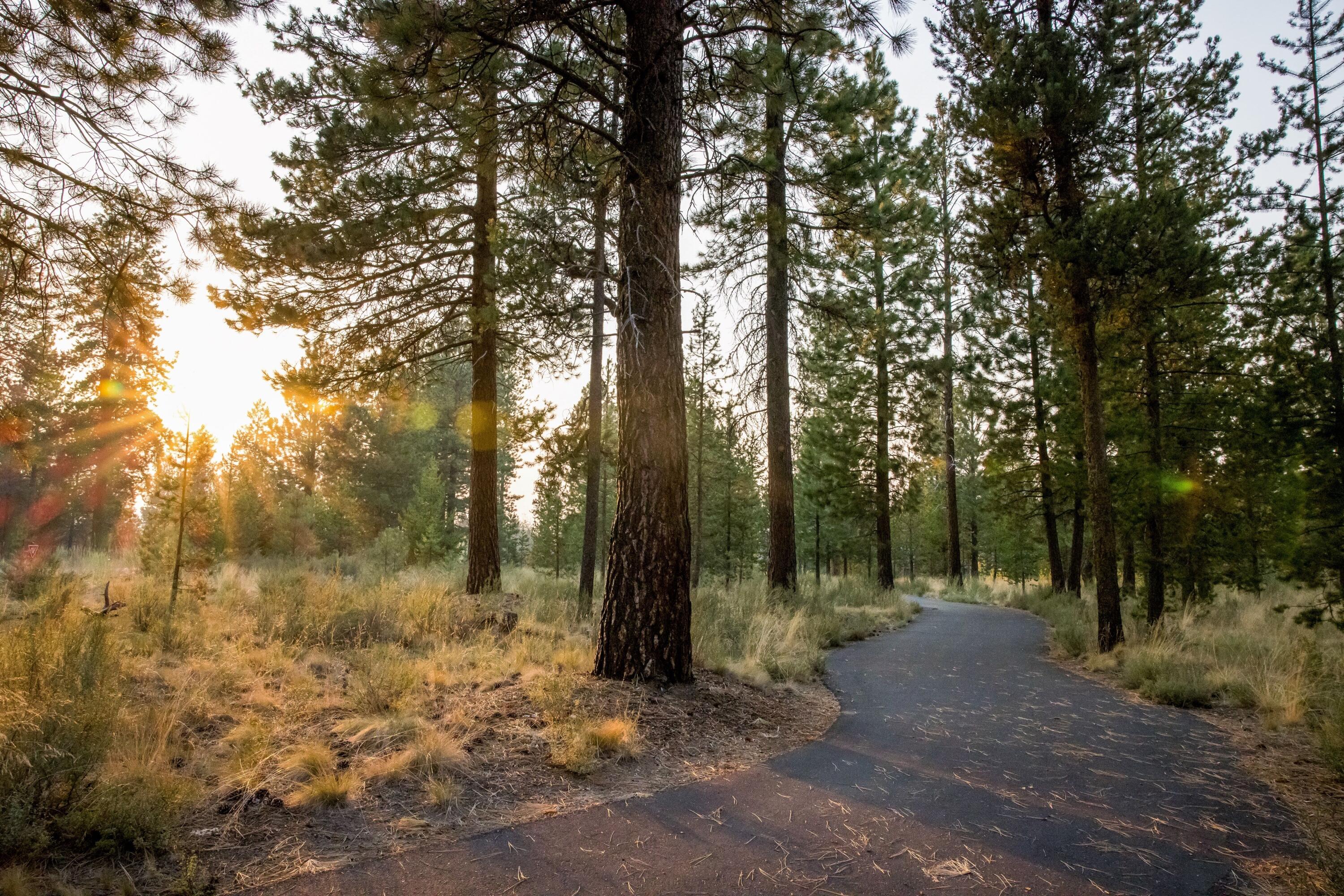Preservation Loop
