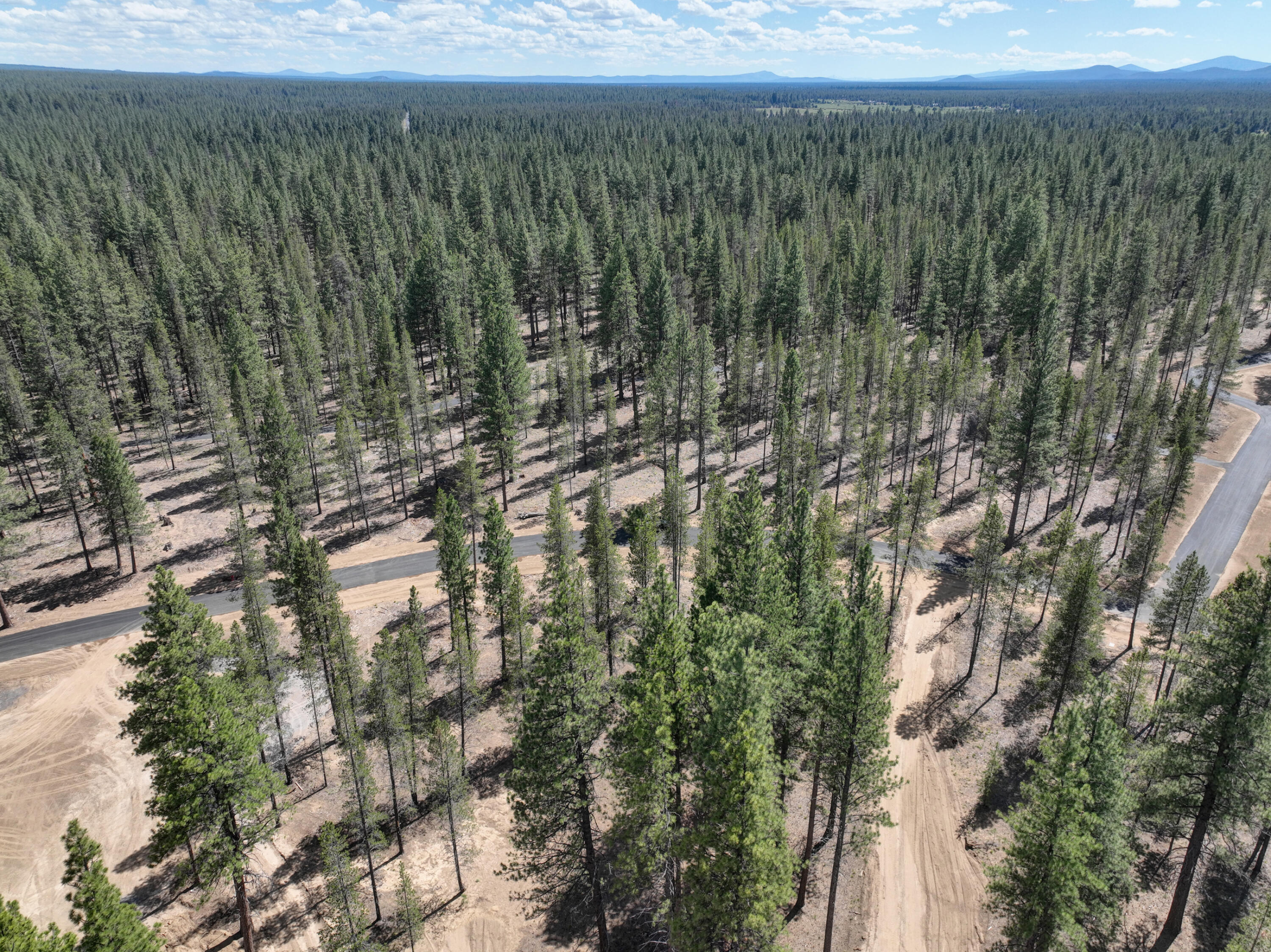 Preservation Loop