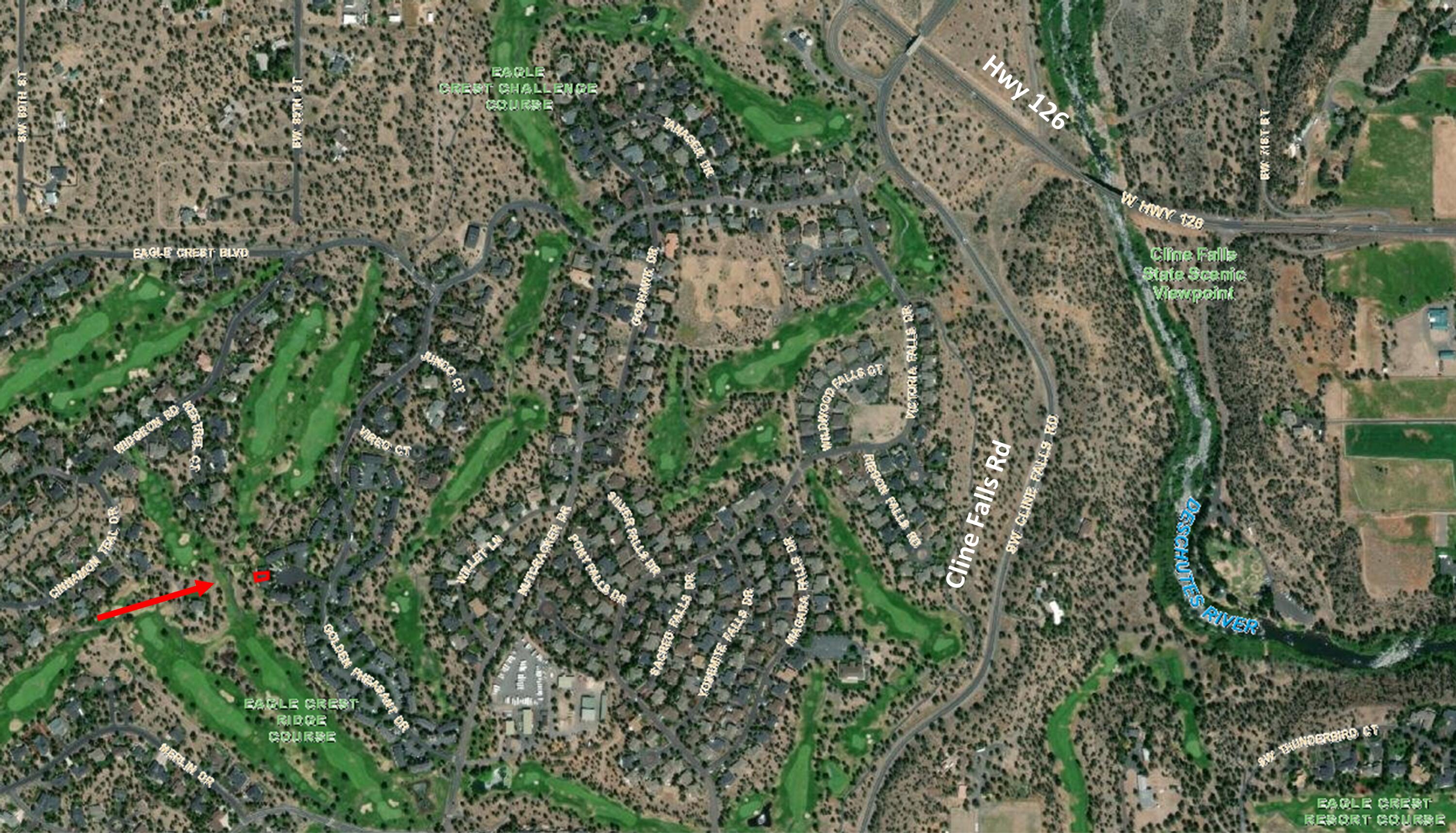 8540 Golden Pheasant Court