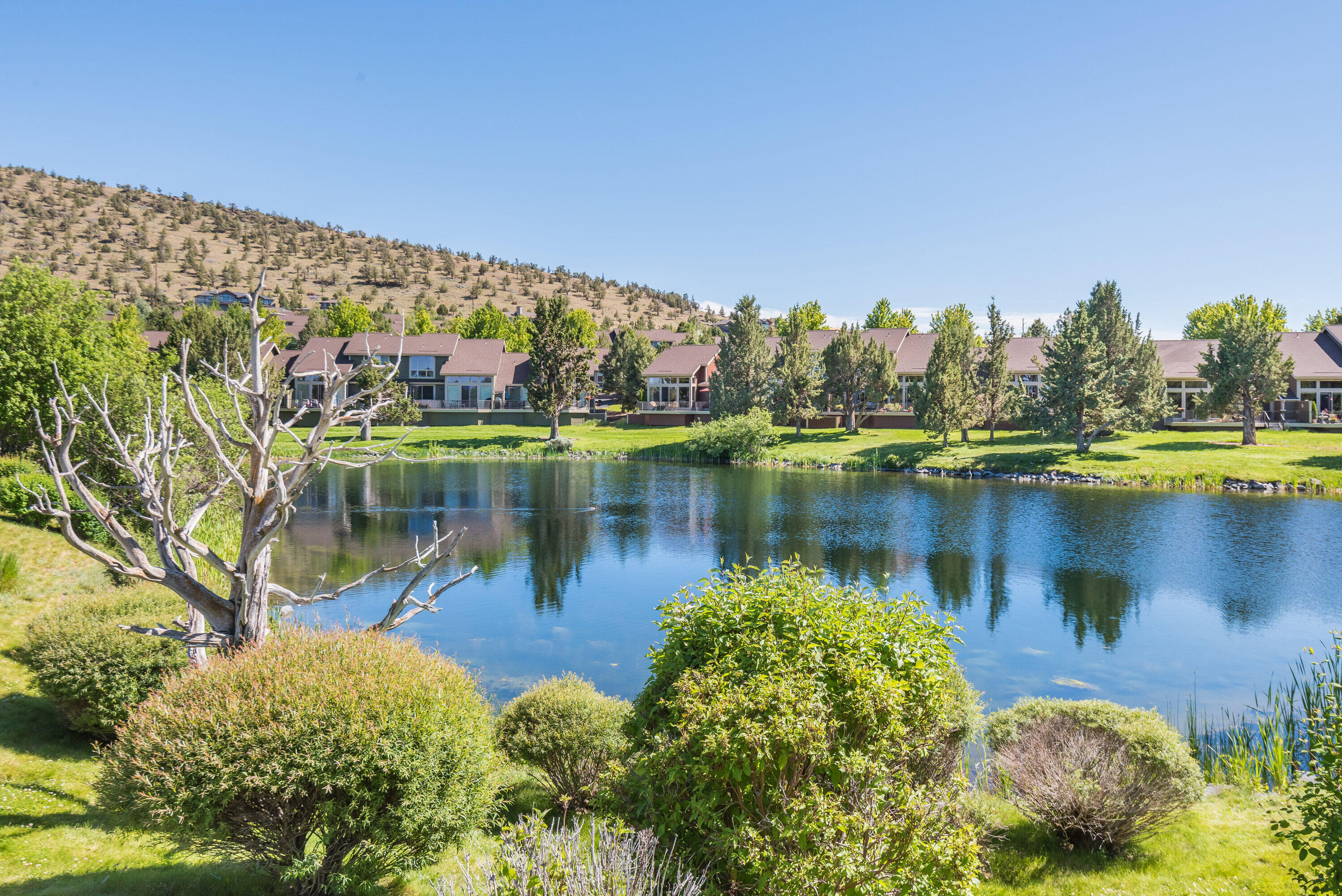 8540 Golden Pheasant Court