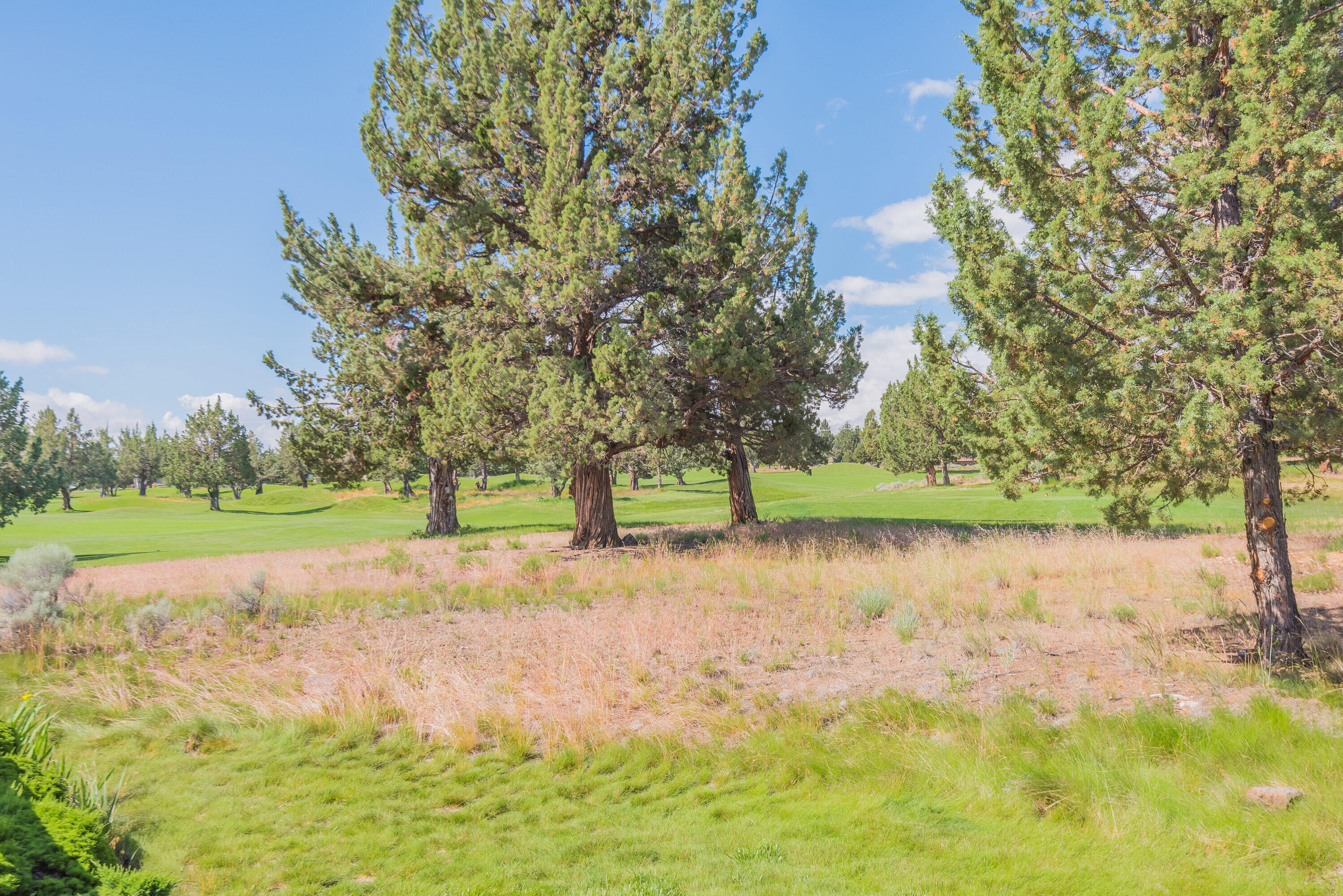 8540 Golden Pheasant Court