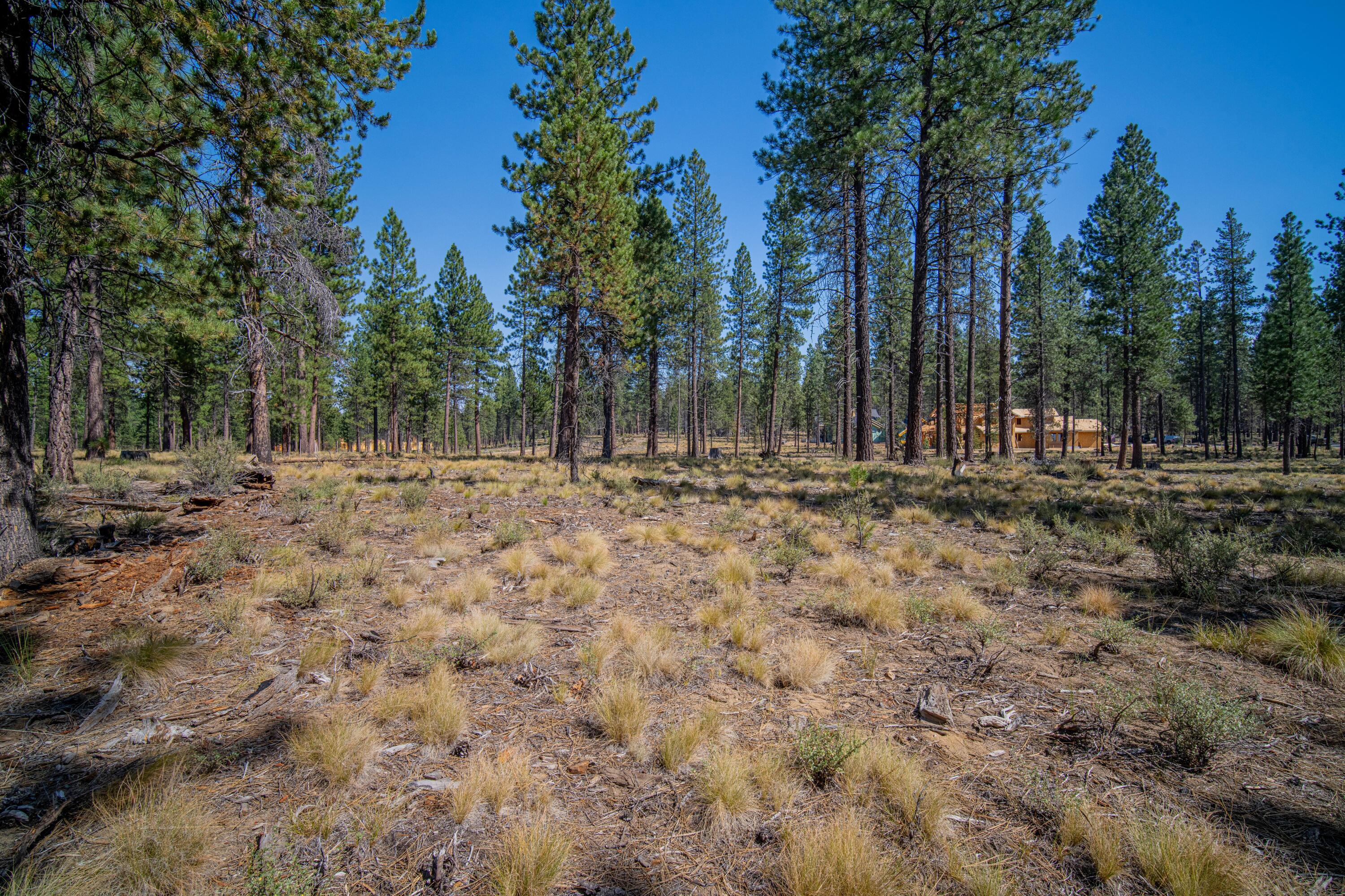 56265 Elk Run Drive