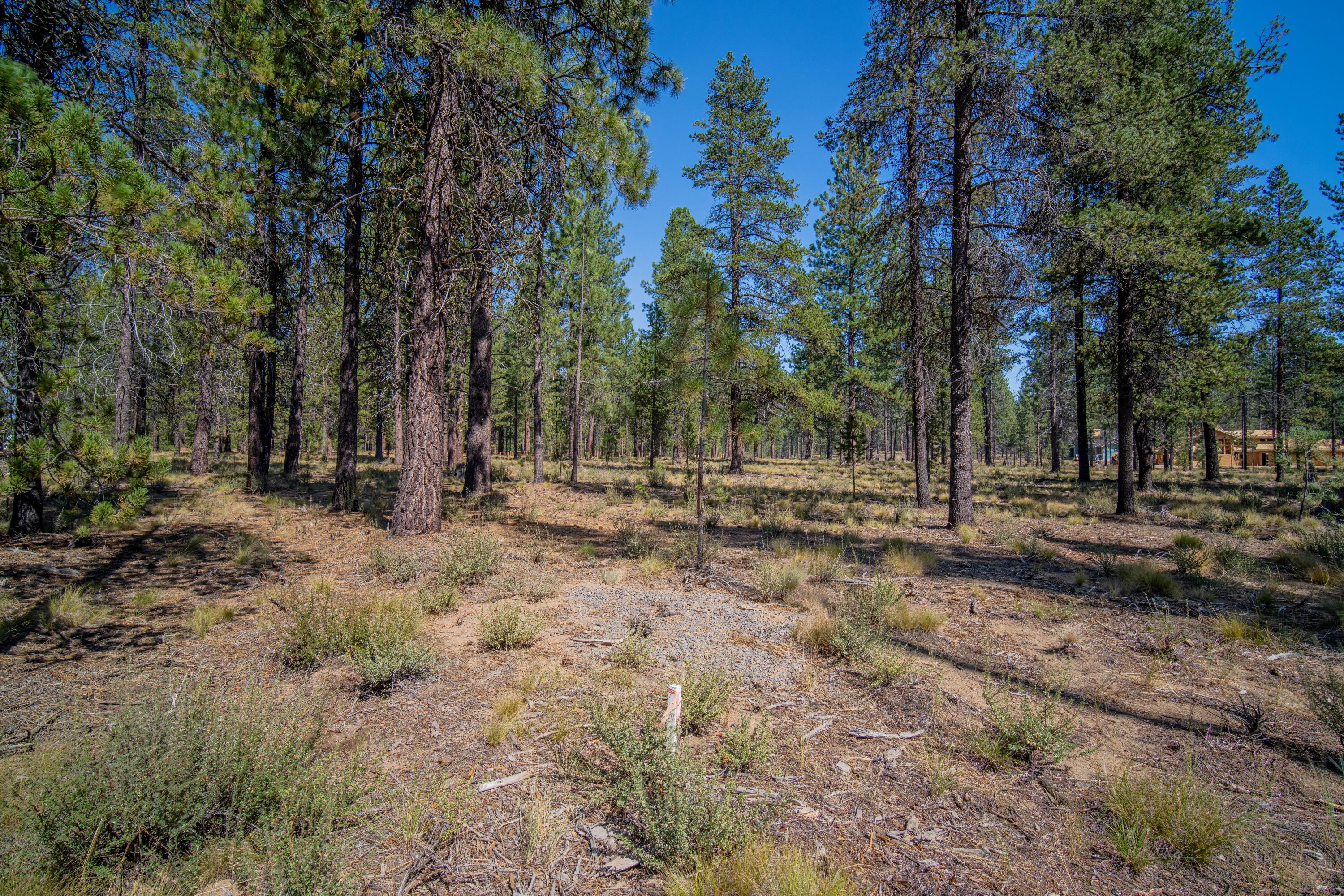 56265 Elk Run Drive