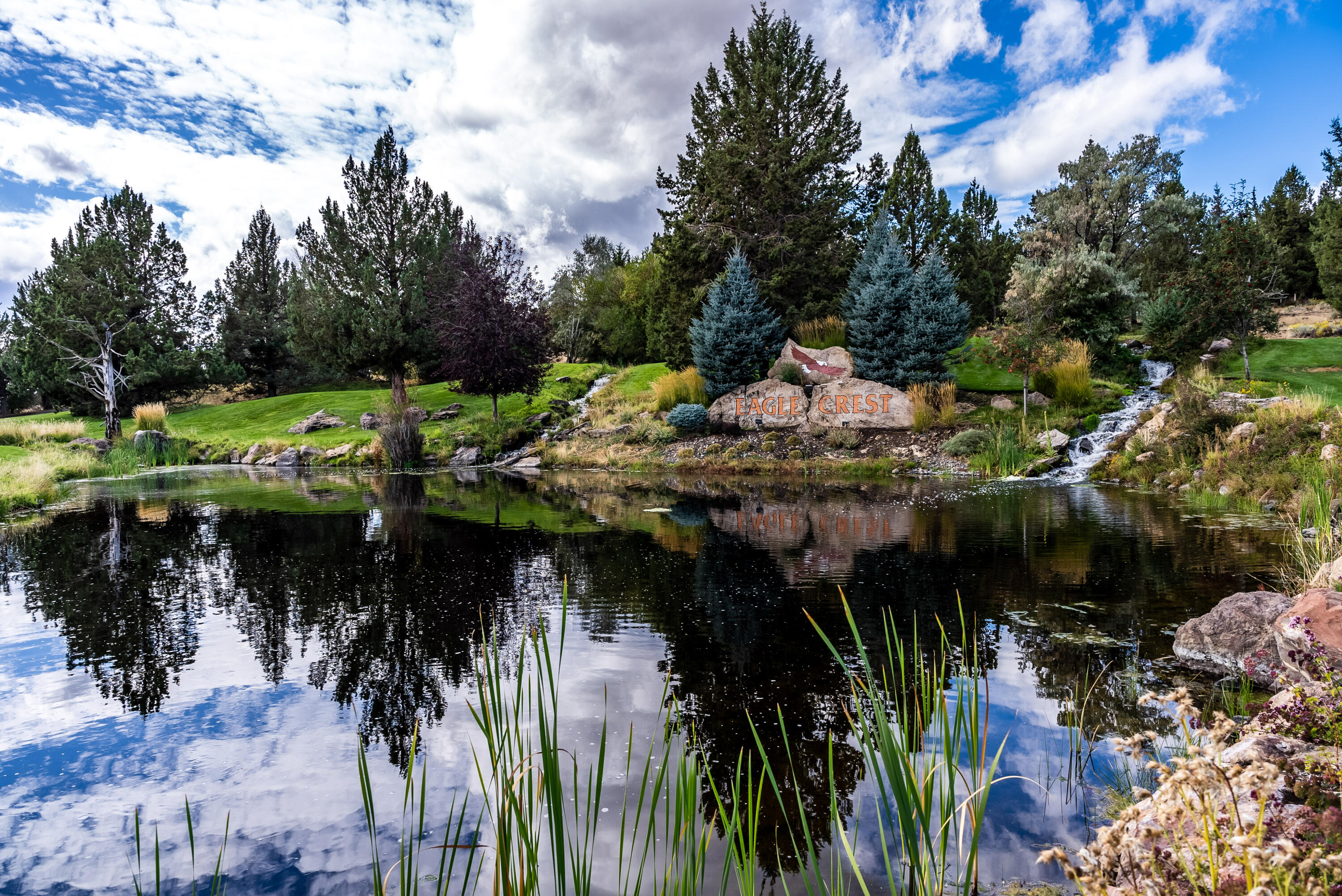 981 Golden Pheasant Dr Drive
