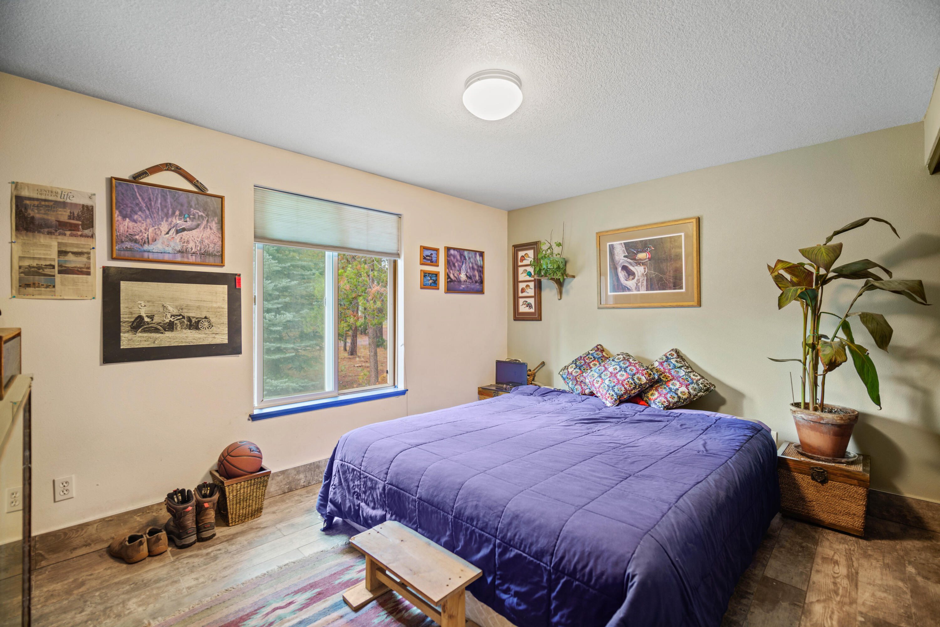 55884 Black Duck Road