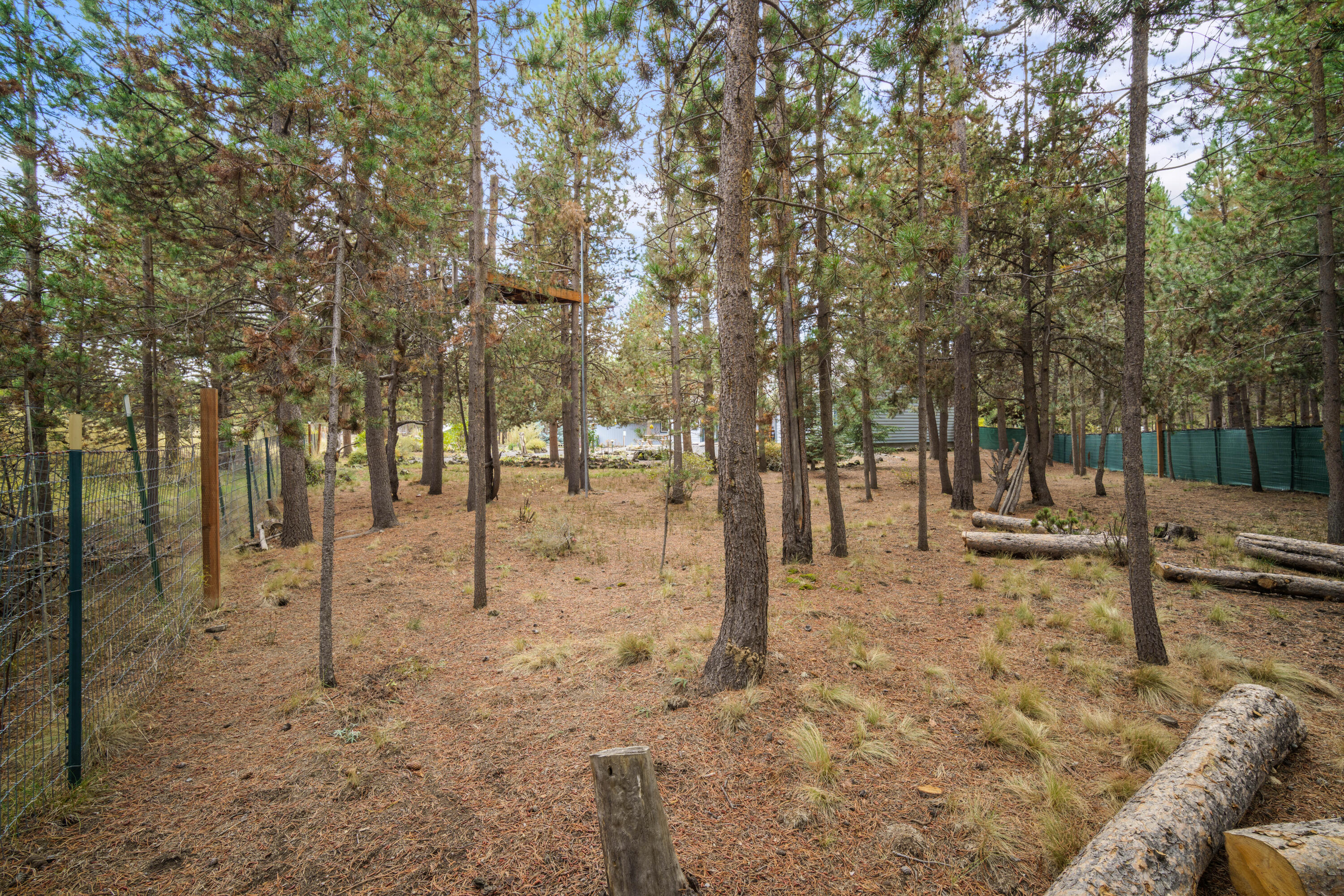 55884 Black Duck Road