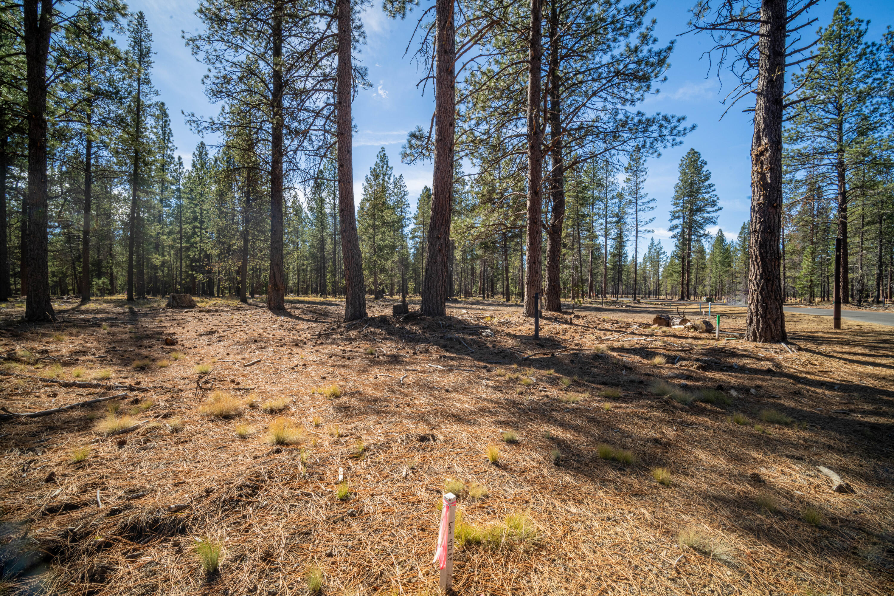 17875 Preservation Loop