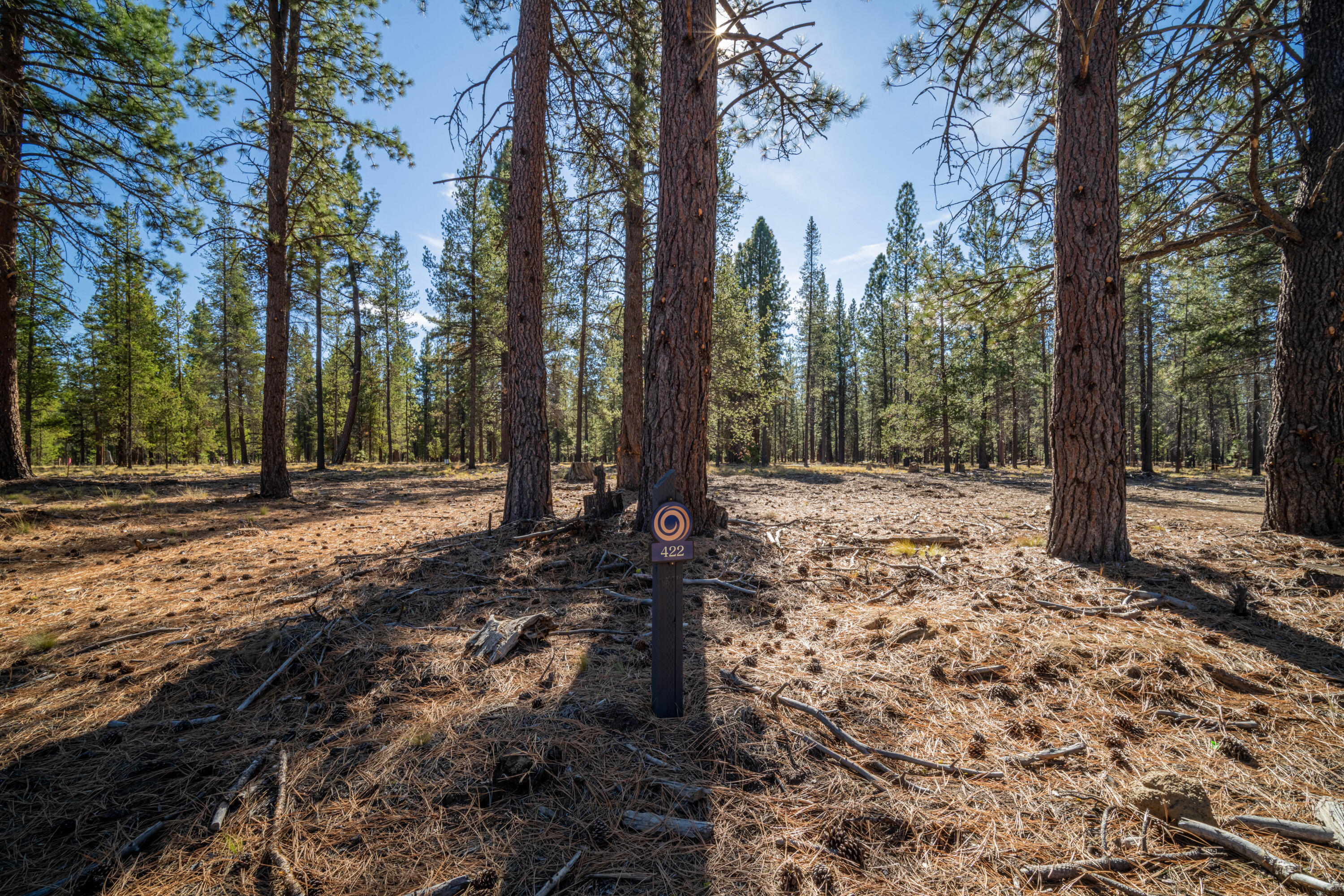 17875 Preservation Loop