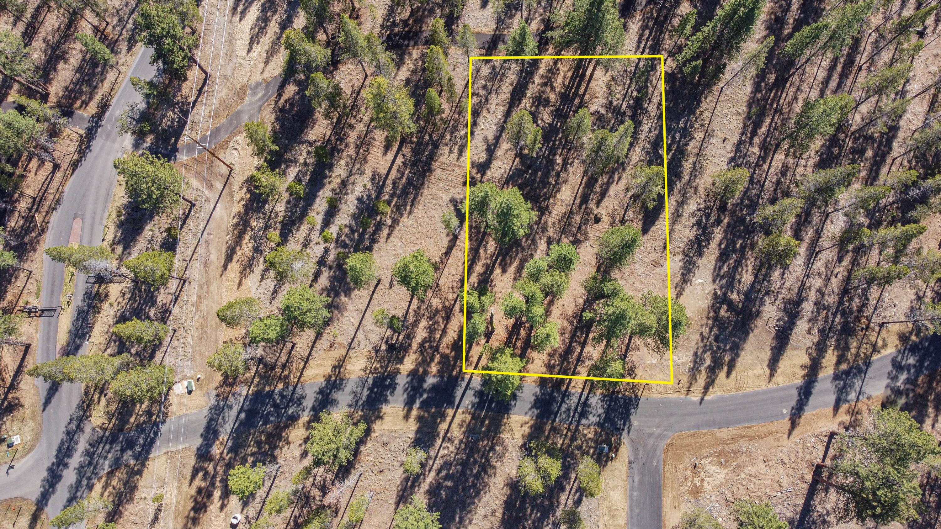 17875 Preservation Loop
