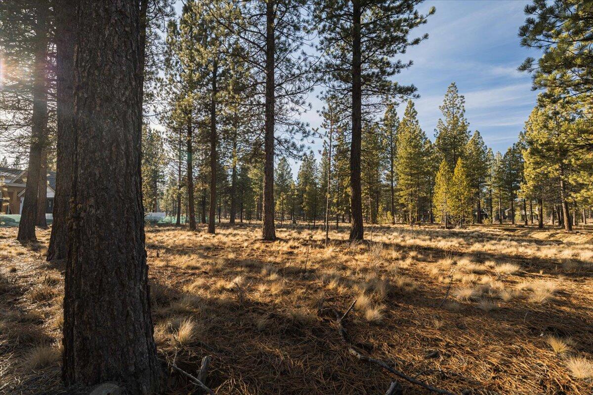 56290 Mirror Rock Loop